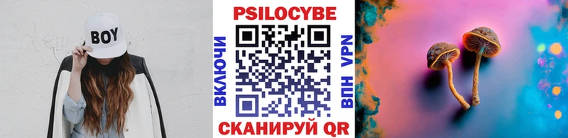 купить   Тобольск  Галлюциногенные грибы Magic Shrooms 
